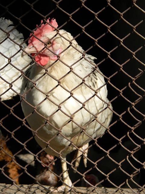 在现代足球 在现代足球