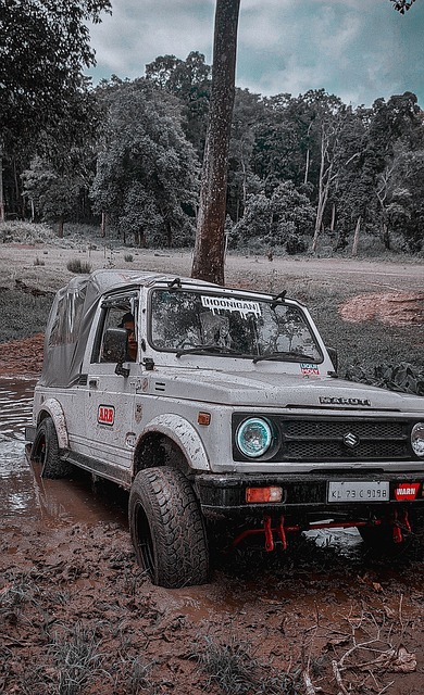 內廣泛討論 內廣泛討論