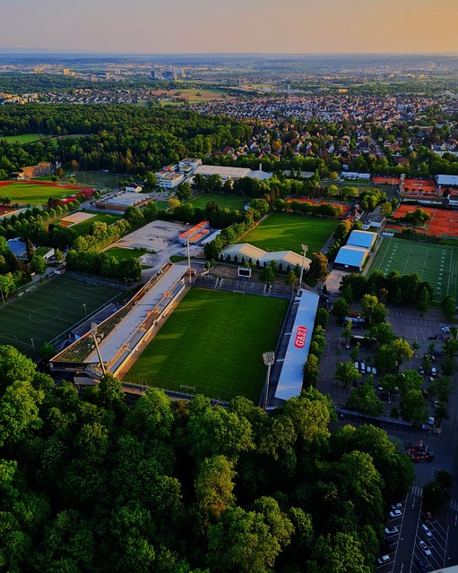 韩国天才 韩国天才