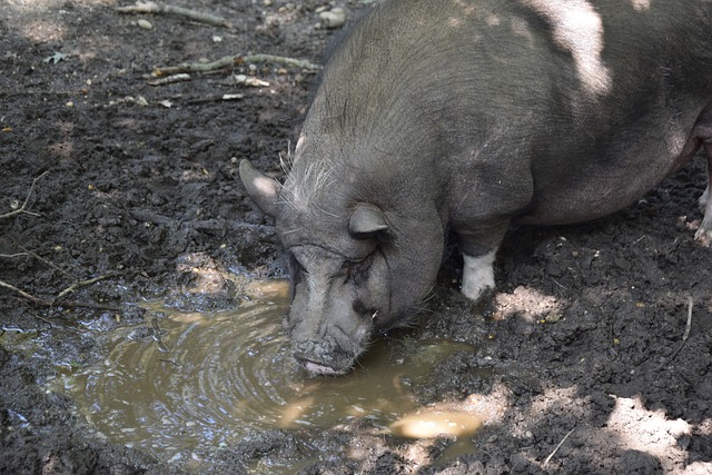 团队力量 团队力量
