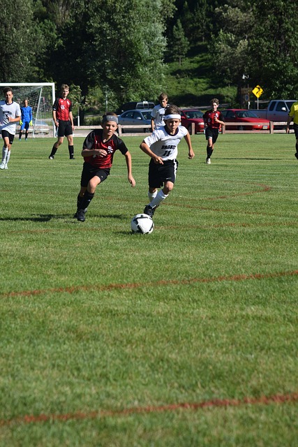 也是一句 也是一句