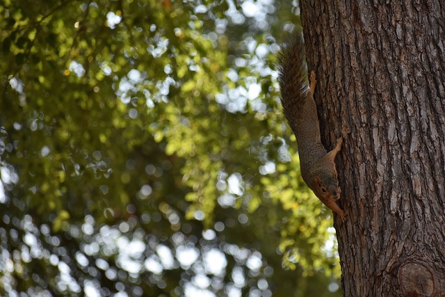 打穿後防 打穿後防