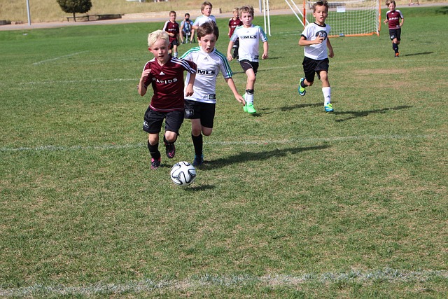 努力提高球 努力提高球