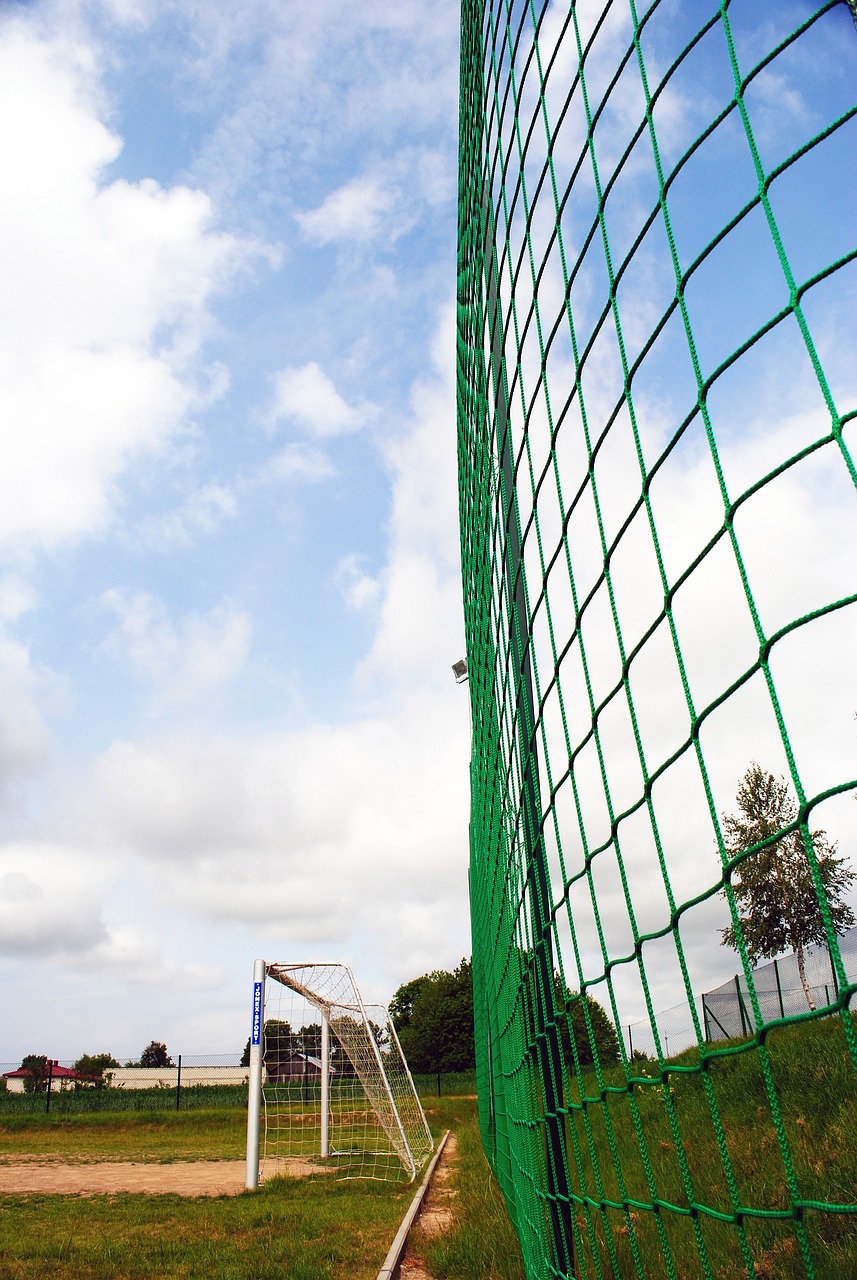 海港前国脚 海港前国脚