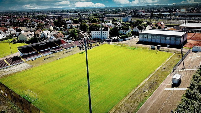 的成功典範 的成功典範